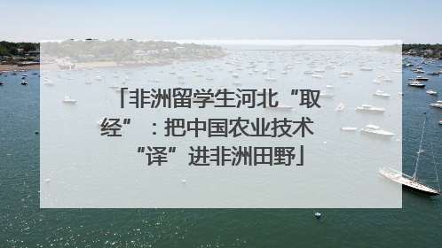 非洲留学生河北“取经”：把中国农业技术“译”进非洲田野