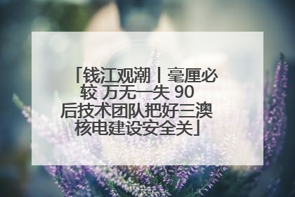 钱江观潮丨毫厘必较 万无一失 90后技术团队把好三澳核电建设安全关