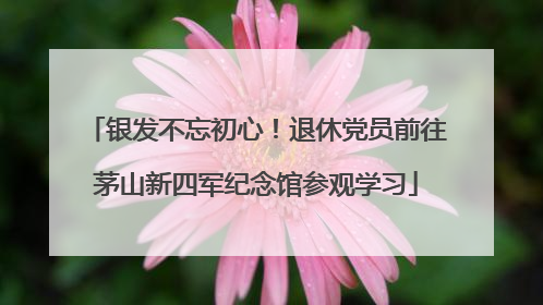 银发不忘初心！退休党员前往茅山新四军纪念馆参观学习