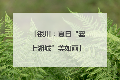 银川：夏日“塞上湖城”美如画