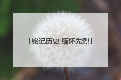 铭记历史 缅怀先烈