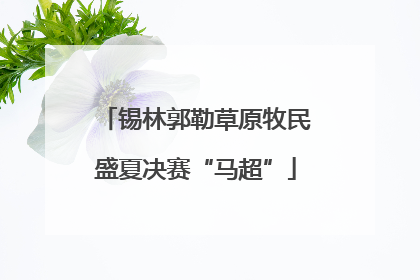 锡林郭勒草原牧民盛夏决赛“马超”