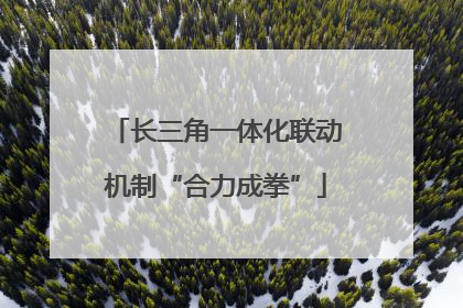 长三角一体化联动机制“合力成拳”