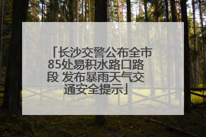 长沙交警公布全市85处易积水路口路段 发布暴雨天气交通安全提示