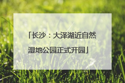 长沙：大泽湖近自然湿地公园正式开园