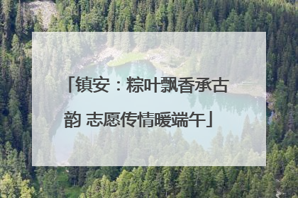 镇安：粽叶飘香承古韵 志愿传情暖端午