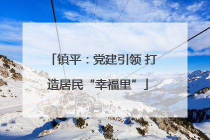 镇平：党建引领 打造居民“幸福里”