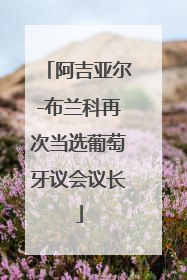 阿吉亚尔-布兰科再次当选葡萄牙议会议长