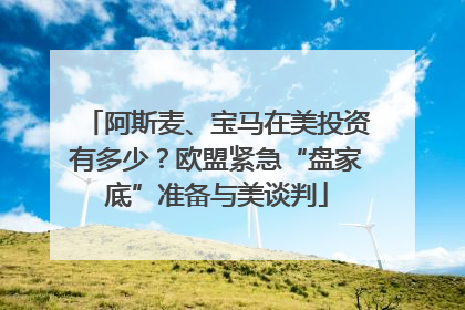 阿斯麦、宝马在美投资有多少？欧盟紧急“盘家底”准备与美谈判