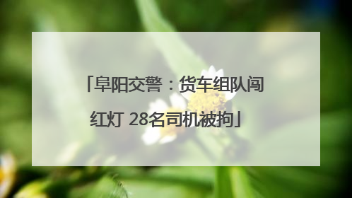 阜阳交警：货车组队闯红灯 28名司机被拘