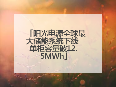 阳光电源全球最大储能系统下线 单柜容量破12.5MWh