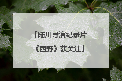 陆川导演纪录片《西野》获关注