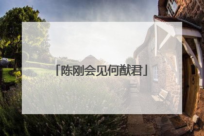 陈刚会见何猷君