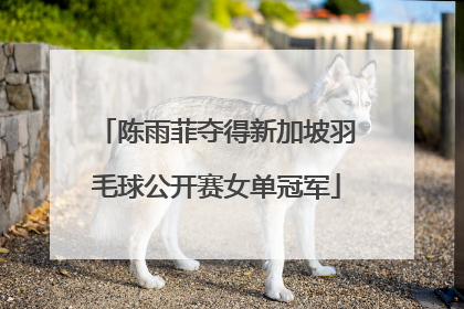 陈雨菲夺得新加坡羽毛球公开赛女单冠军