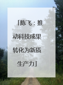 陈飞：推动科技成果转化为新质生产力