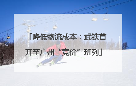 降低物流成本：武铁首开至广州“竞价”班列