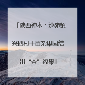 陕西神木：沙峁镇兴四村千亩杂果园结出“杏”福果