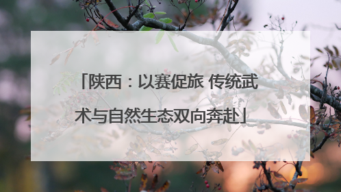 陕西：以赛促旅 传统武术与自然生态双向奔赴