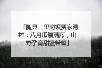 随县三里岗镇贾家湾村：八月瓜缀满藤，山野孕育甜蜜希望