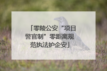 零陵公安“项目警官制”零距离规范执法护企安