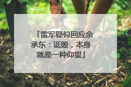 雷军疑似回应余承东：诋毁，本身就是一种仰望