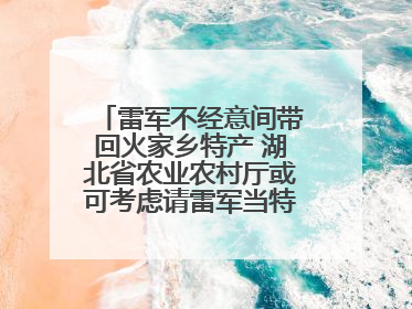 雷军不经意间带回火家乡特产 湖北省农业农村厅或可考虑请雷军当特产大使