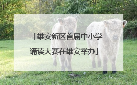 雄安新区首届中小学诵读大赛在雄安举办