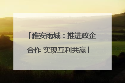 雅安雨城：推进政企合作 实现互利共赢