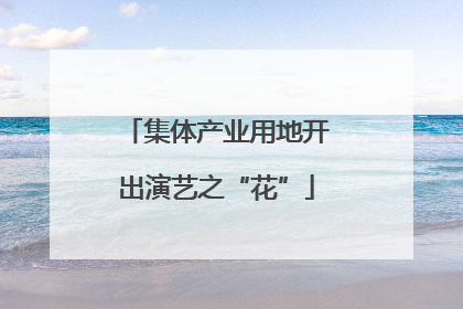 集体产业用地开出演艺之“花”