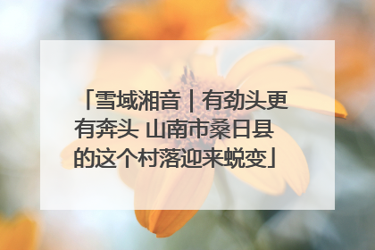 雪域湘音｜有劲头更有奔头 山南市桑日县的这个村落迎来蜕变