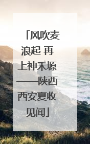 风吹麦浪起 再上神禾塬——陕西西安夏收见闻