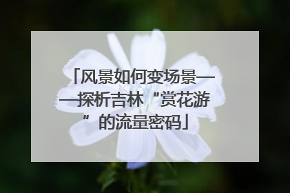 风景如何变场景——探析吉林“赏花游”的流量密码