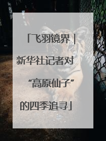 飞羽镜界｜新华社记者对“高原仙子”的四季追寻