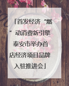 首发经济“燃”动消费新引擎 泰安市举办首店经济项目品牌入驻推进会