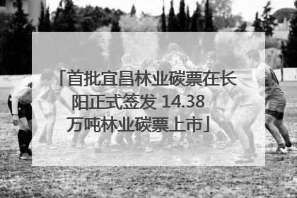 首批宜昌林业碳票在长阳正式签发 14.38万吨林业碳票上市
