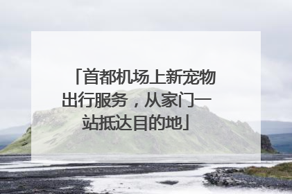 首都机场上新宠物出行服务，从家门一站抵达目的地