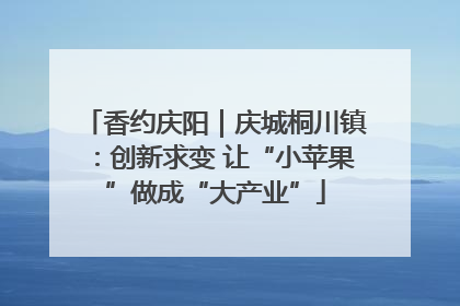香约庆阳｜庆城桐川镇：创新求变 让“小苹果”做成“大产业”