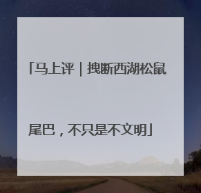 马上评｜拽断西湖松鼠尾巴，不只是不文明
