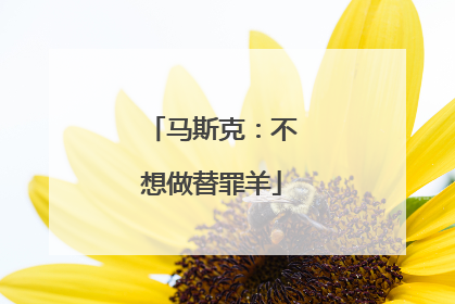 马斯克：不想做替罪羊