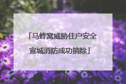 马蜂窝威胁住户安全 宣城消防成功摘除