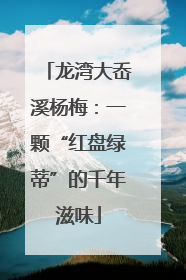 龙湾大岙溪杨梅：一颗“红盘绿蒂”的千年滋味