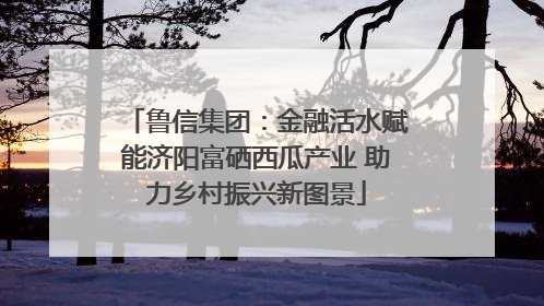 鲁信集团：金融活水赋能济阳富硒西瓜产业 助力乡村振兴新图景