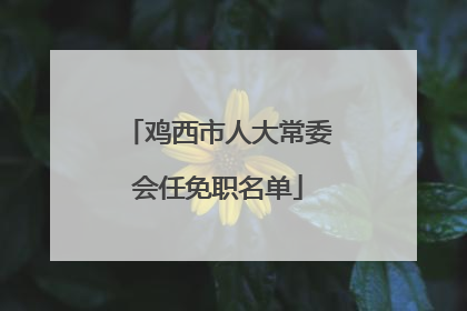 鸡西市人大常委会任免职名单