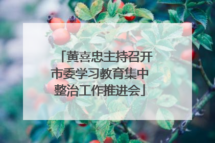 黄喜忠主持召开市委学习教育集中整治工作推进会