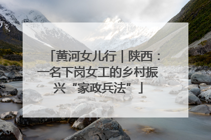 黄河女儿行｜陕西：一名下岗女工的乡村振兴“家政兵法”