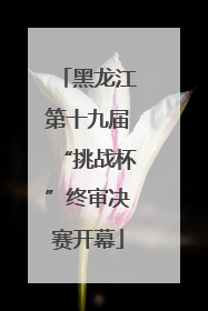 黑龙江第十九届“挑战杯”终审决赛开幕