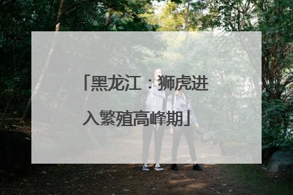 黑龙江：狮虎进入繁殖高峰期