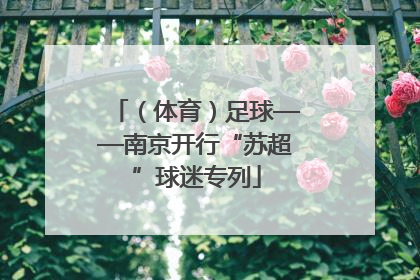（体育）足球——南京开行“苏超”球迷专列