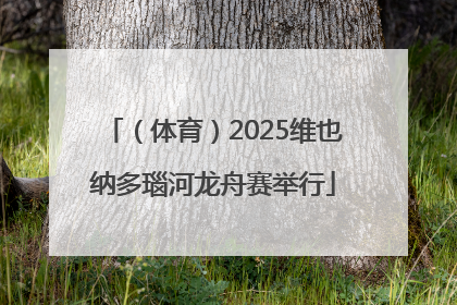 （体育）2025维也纳多瑙河龙舟赛举行