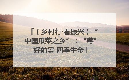 （乡村行·看振兴）“中国瓜菜之乡”：“莓”好前景 四季生金